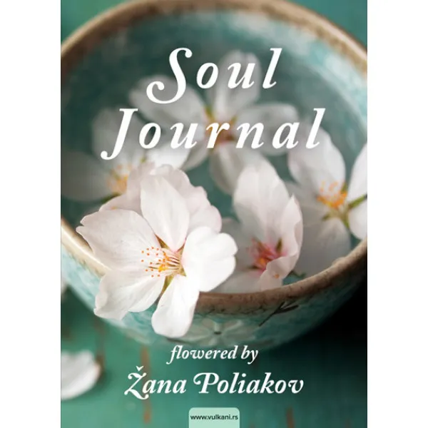SOUL JOURNAL 