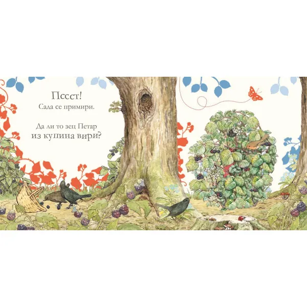 Gde je zec Petar? Slikovnica skrivalica 