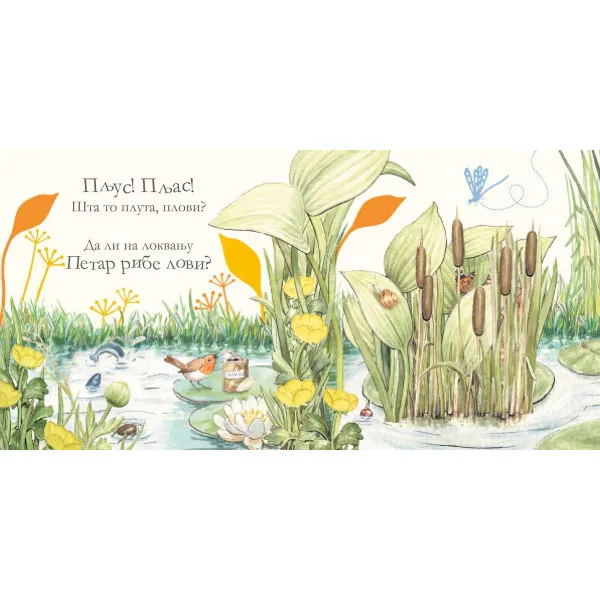 Gde je zec Petar? Slikovnica skrivalica 