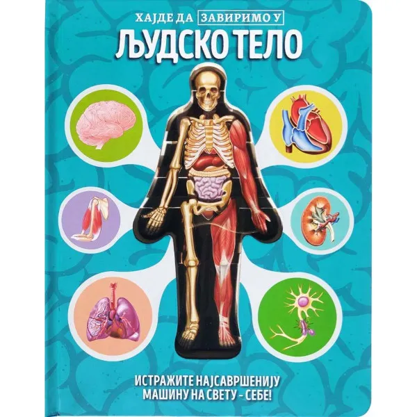 Hajde da zavirimo u: Ljudsko telo 