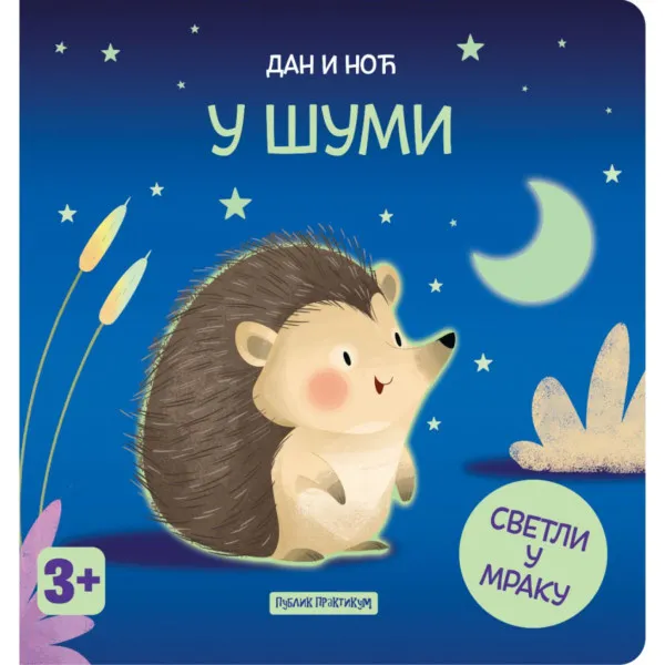 Dan i noć - U šumi 