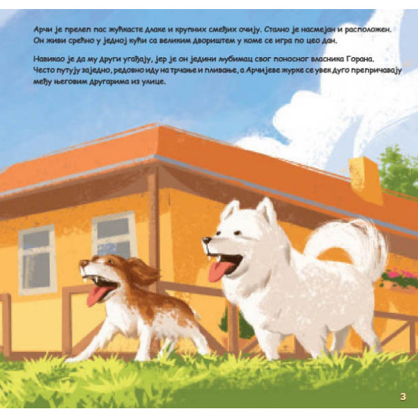 ARČI I DORA ISTINITE PRIČE 