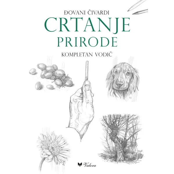 Crtanje prirode 