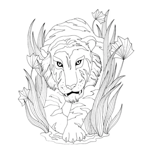 Knjiga o džungli - bojanka 