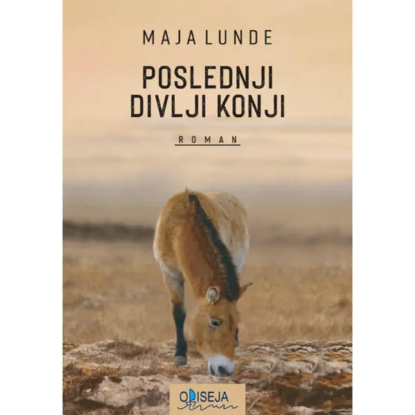 Poslednji divlji konji 