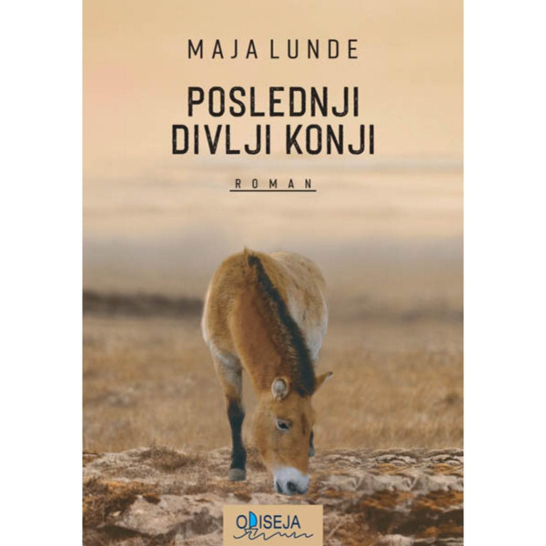 Poslednji divlji konji 