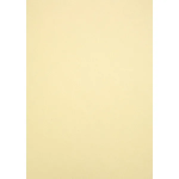 PAPIR SIRIO 290g B1 PAGLIERINO F 