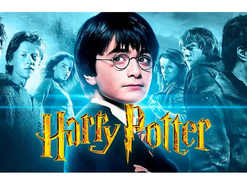 Harry Potter - Knjiga koja je promijenila moj svijet (karakter)