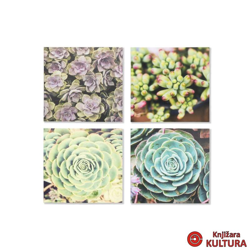 SLIKA 40X40X2 CACTUS 