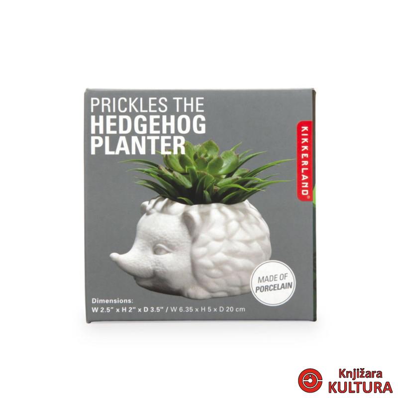 SAKSIJA PRINKLES THE HEDGEHOG 