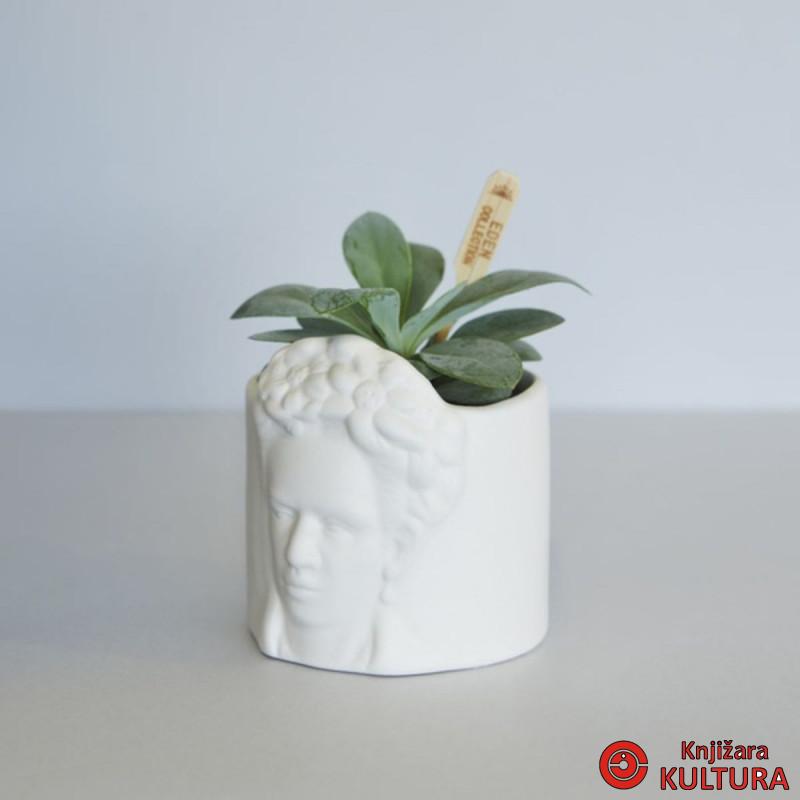 Saksija mini, Frida, bijeli, ceramic 