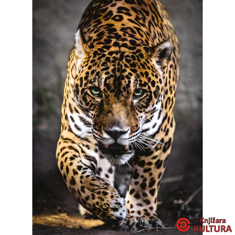 PUZZLE 1000 CL WILDLIFE 