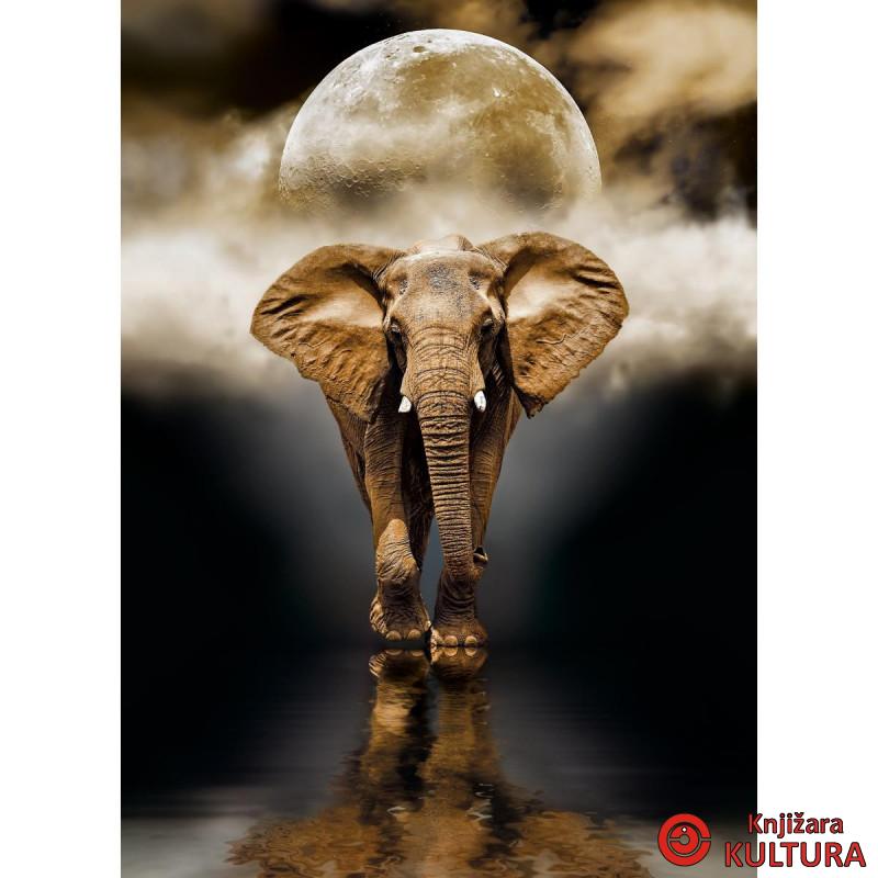 PUZZLE 1000 HQC SLON 