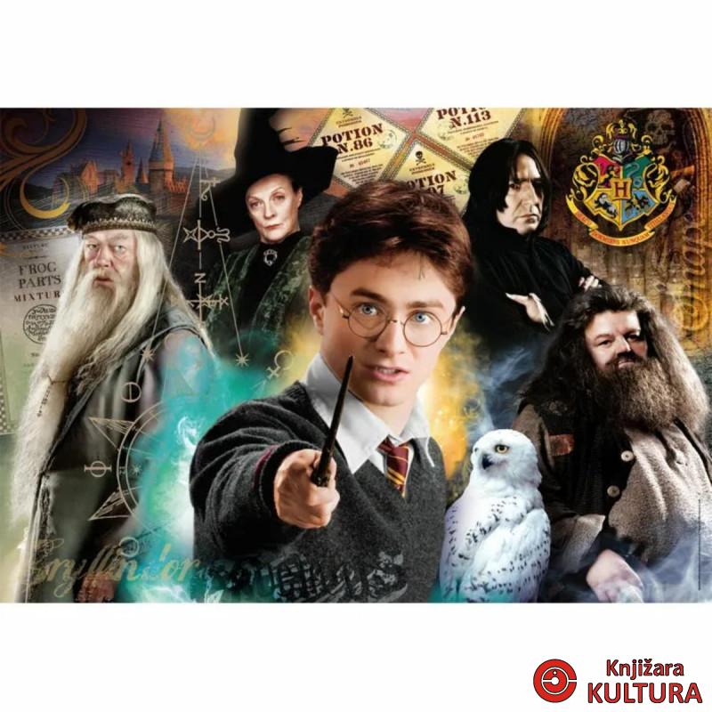 Puzzle 500 harry potter compact 35534 