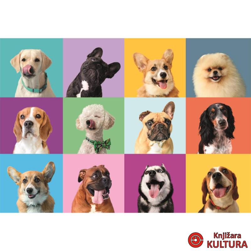 PUZZLE 300 FUNNY FACES 2025 21739 