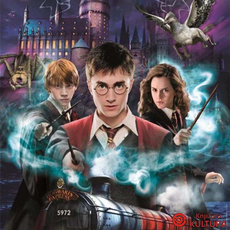 PUZZLE 1000 HARRY POTTER COMPACT 