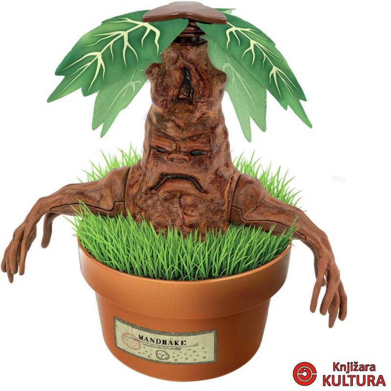 HP MANDRAGOLA 