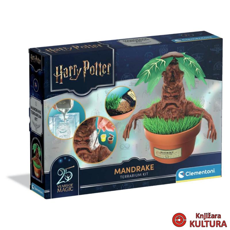 HP MANDRAGOLA 