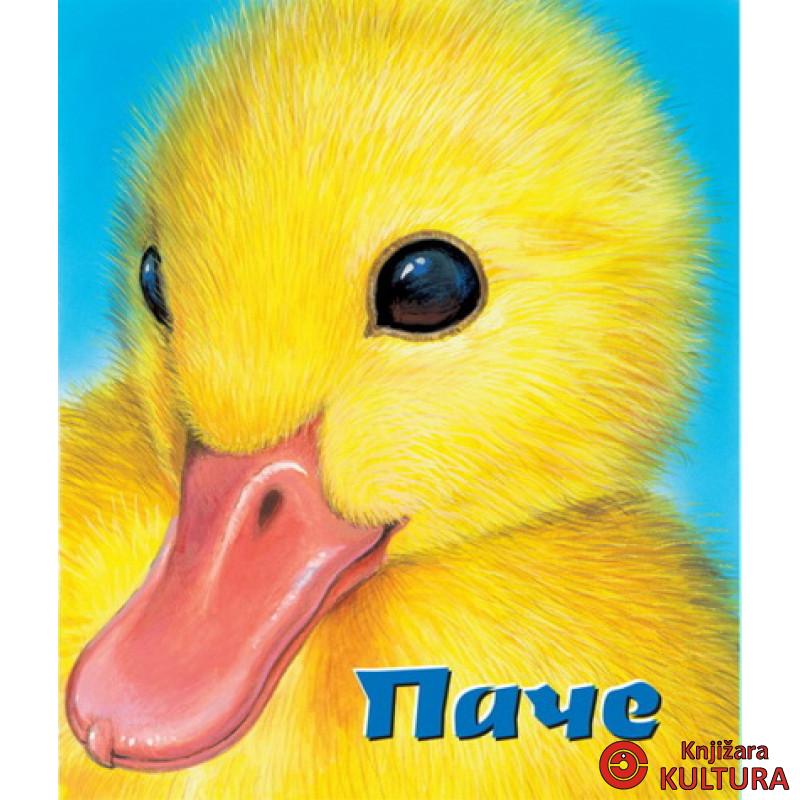 PAČE MANJANA 