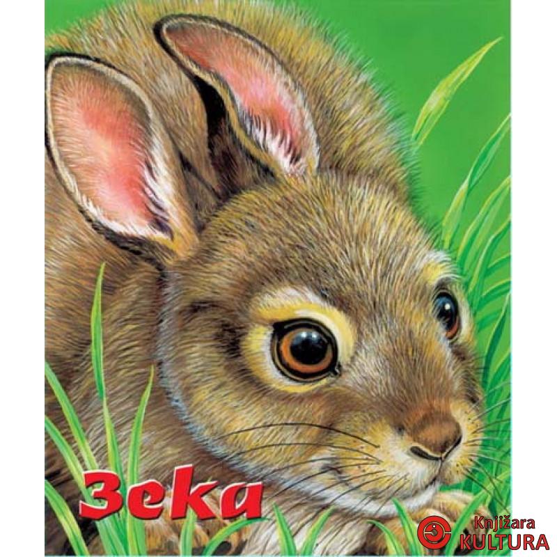 ZEKA MANJANA 