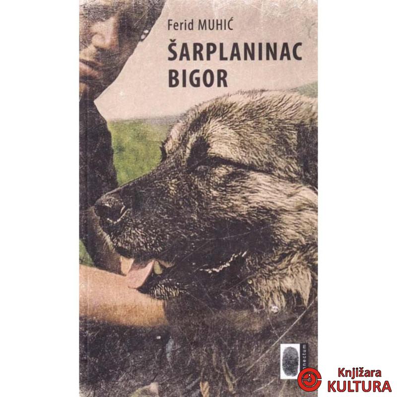 Šarplaninac Bigor-Ferid Muhić 