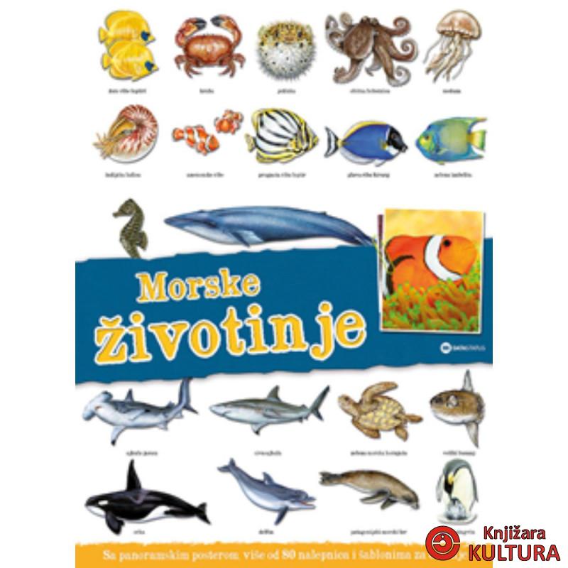Panorama: Morske životinje 