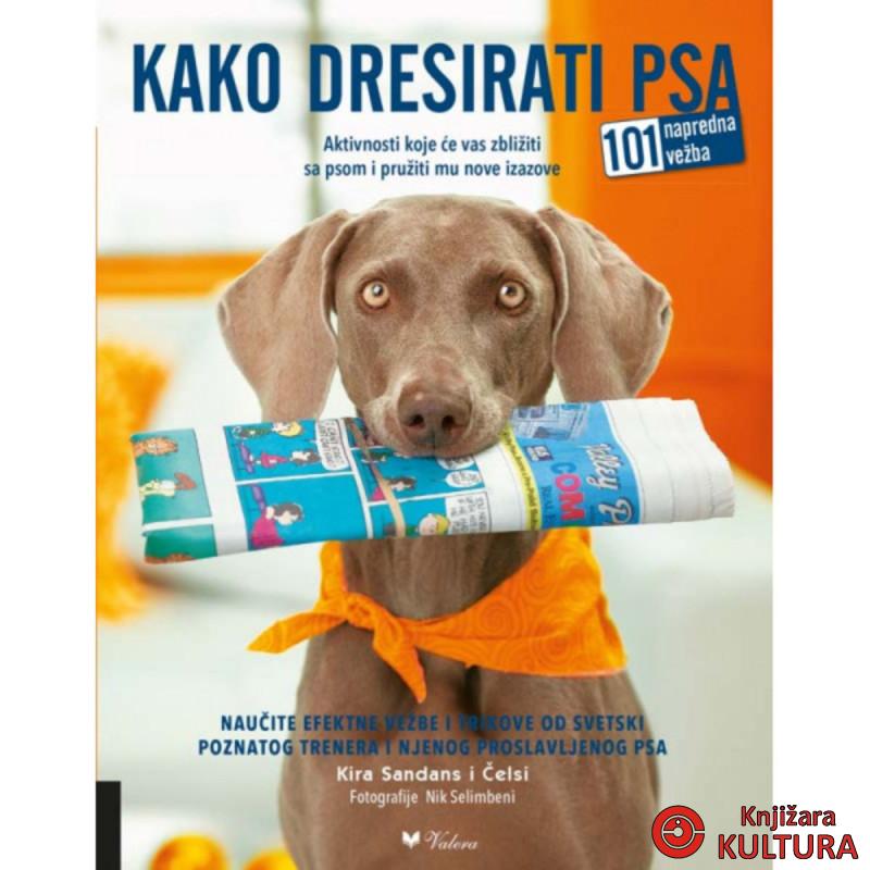 Kako dresirati psa 