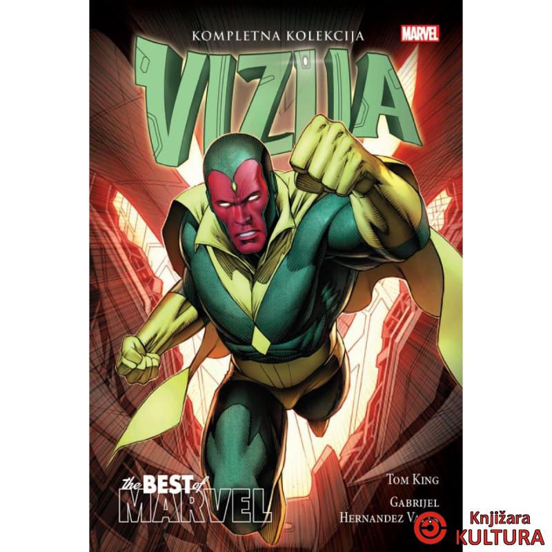 Vizija 