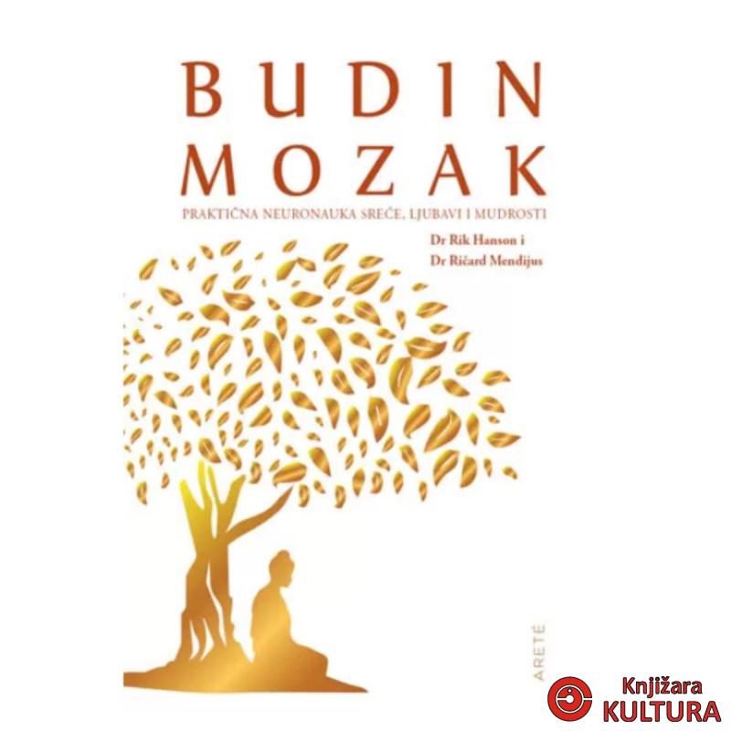 Budin mozak 