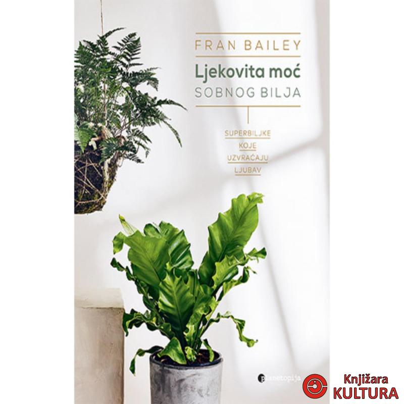 Ljekovita moć sobnog bilja 