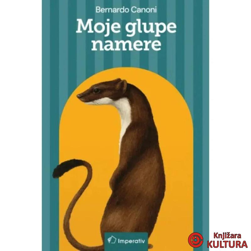 Moje glupe namere 