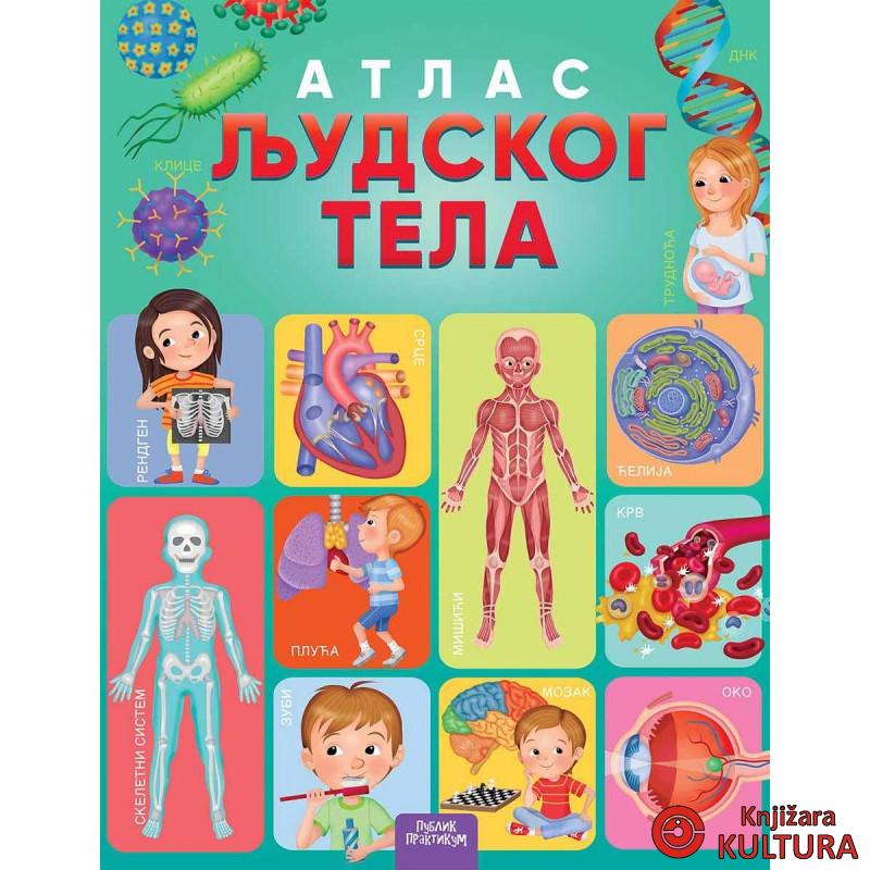 Atlas ljudskog tela 