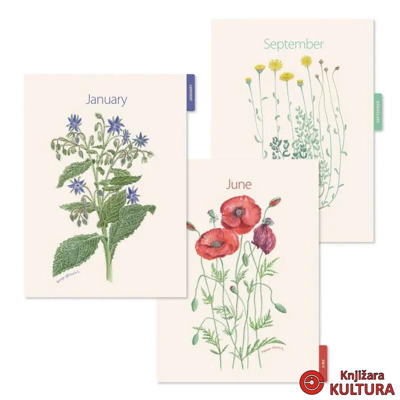 PLANER PLUS W-O W/V POPPY ENTREDOS 26 34578 