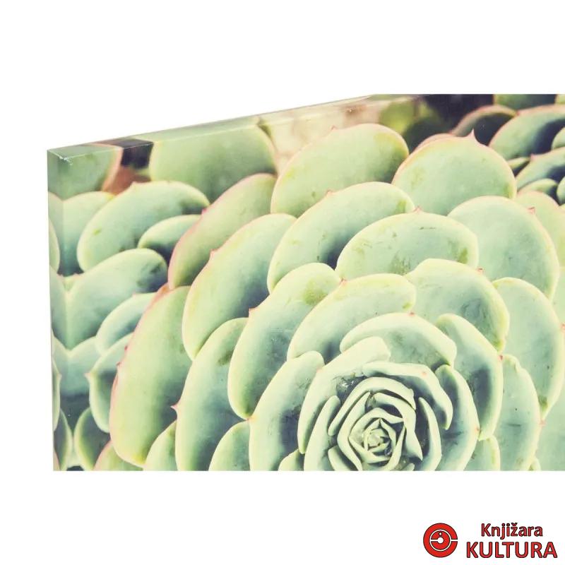 SLIKA 40X40X2 CACTUS 
