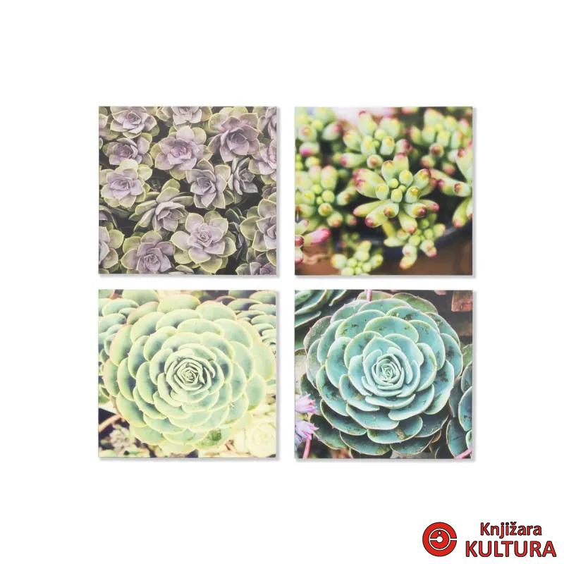 SLIKA 40X40X2 CACTUS 
