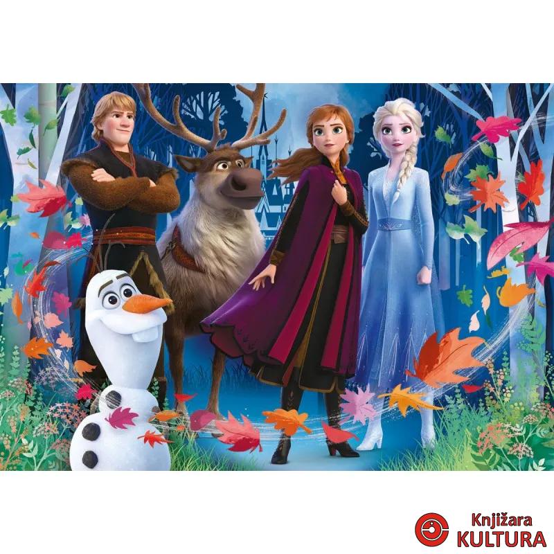 PUZZLE 3D VISION FROZEN 2 
