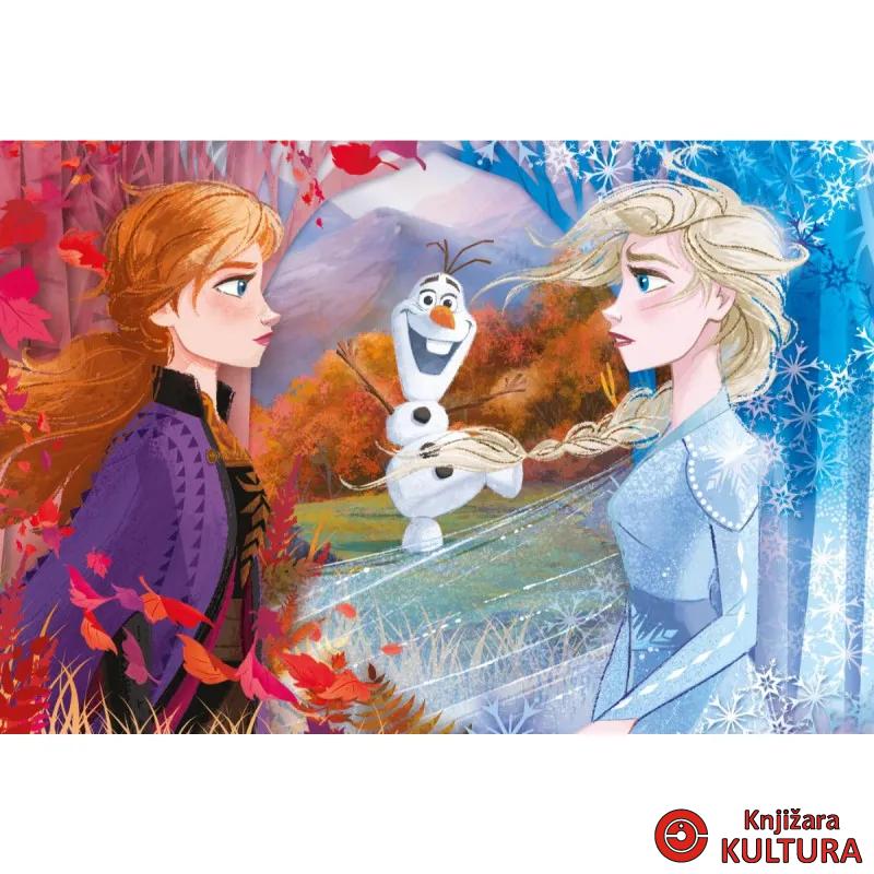 PUZZLE 60 MAXI FROZEN 2 