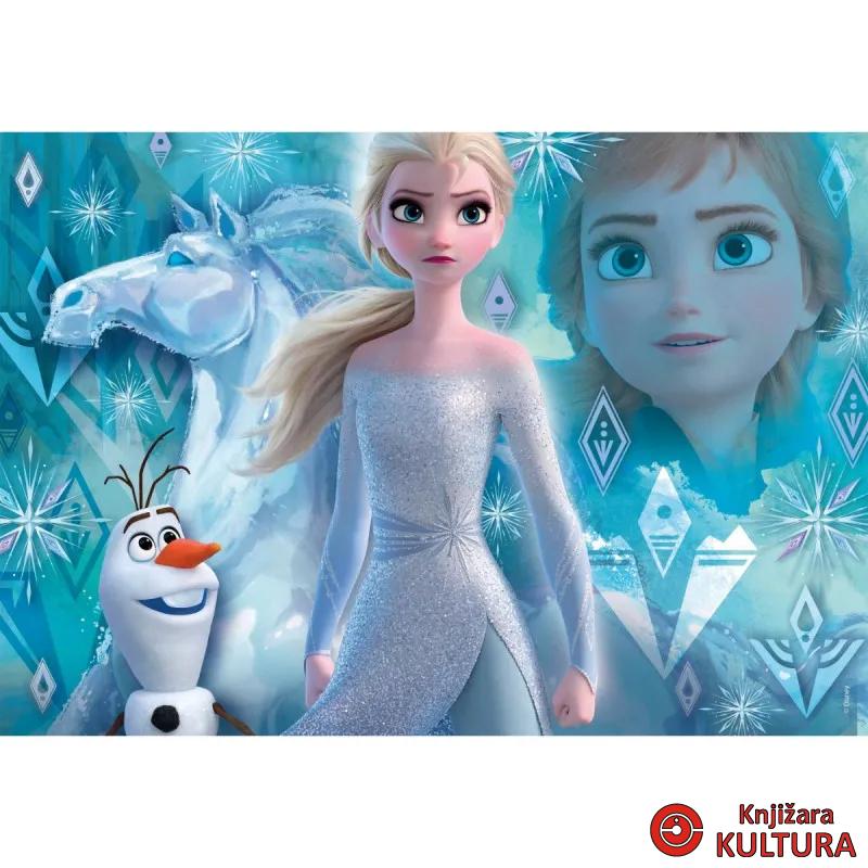 PUZZLE 104 2 FROZEN 2 