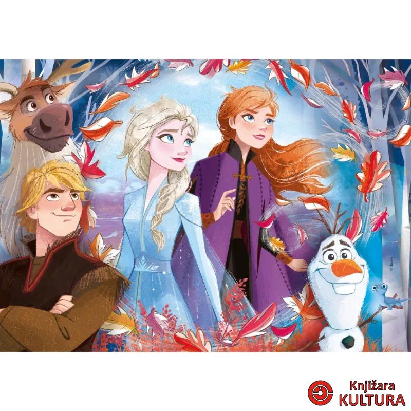 PUZZLE 2X20+2X60 FROZEN 2 