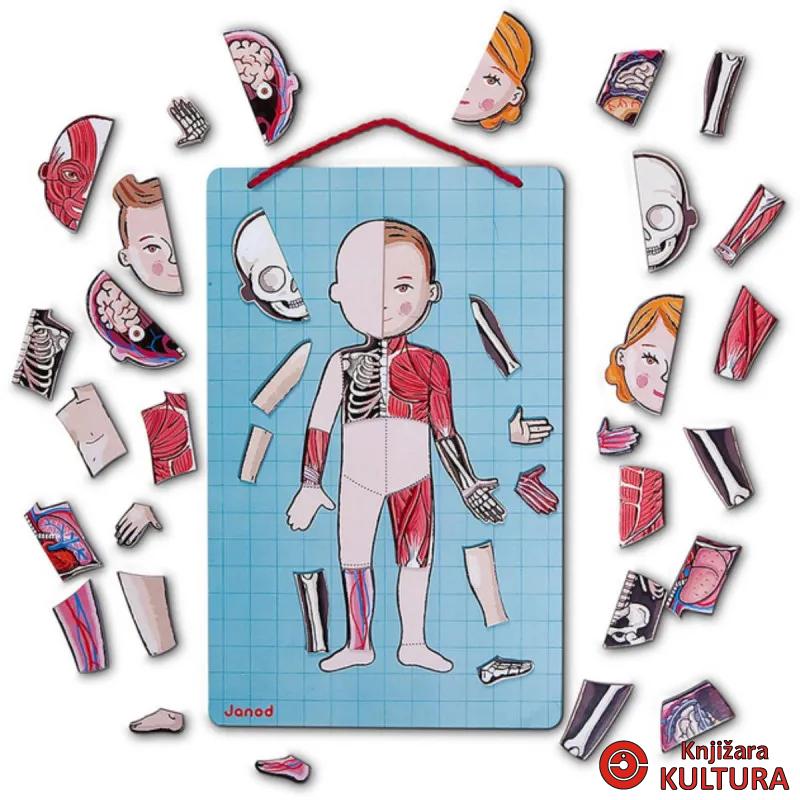 BODYMAGNET NA 12 JEZIKA 