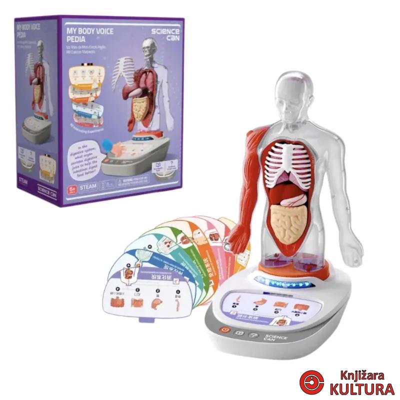LJUDSKO TIJELO-GLASNOVI VODIČ KROZ ANATOMIJU SCIENCE CAN 
