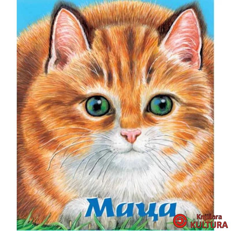 MACA MANJANA 