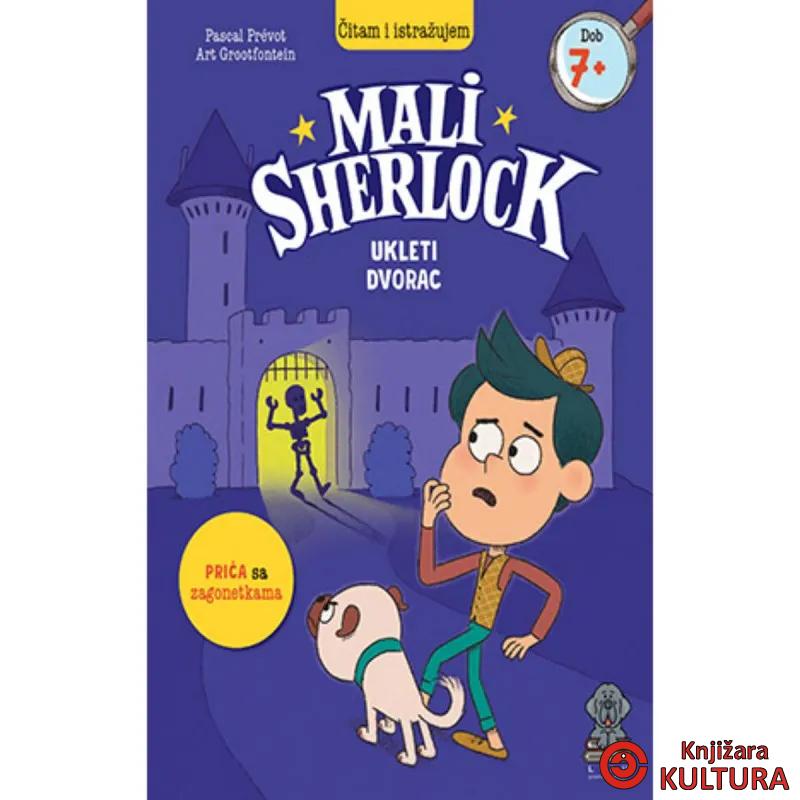 Mali Sherlock- Ukleti dvorac 
