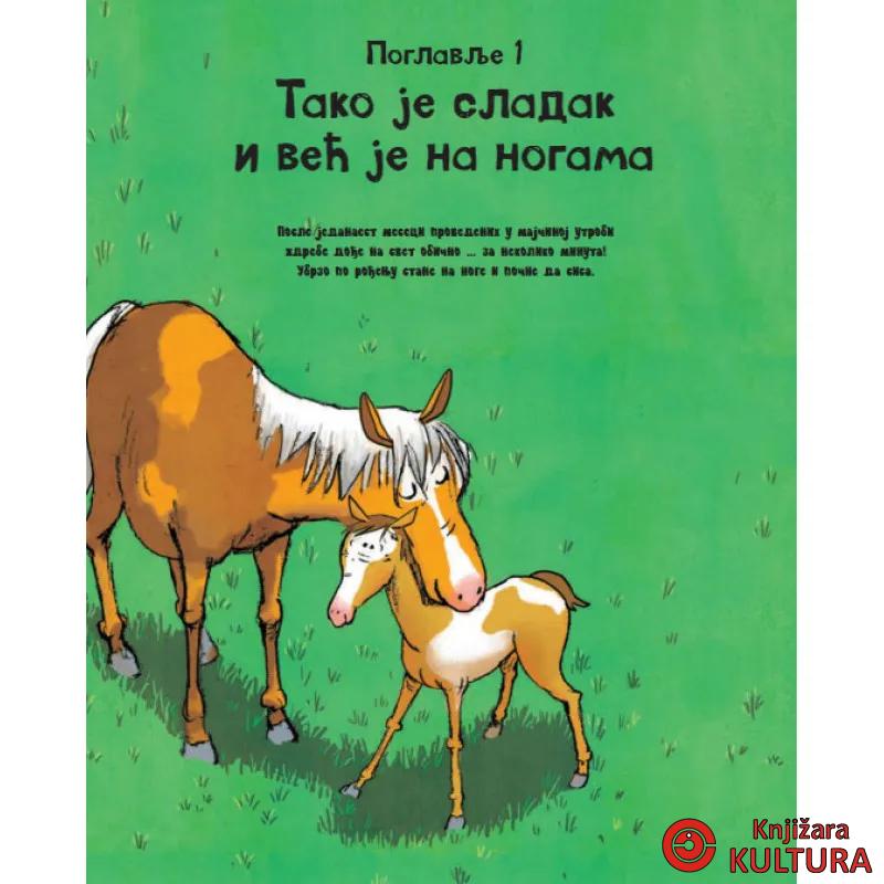 SVE O KONJU I JOŠ PONEŠTO 