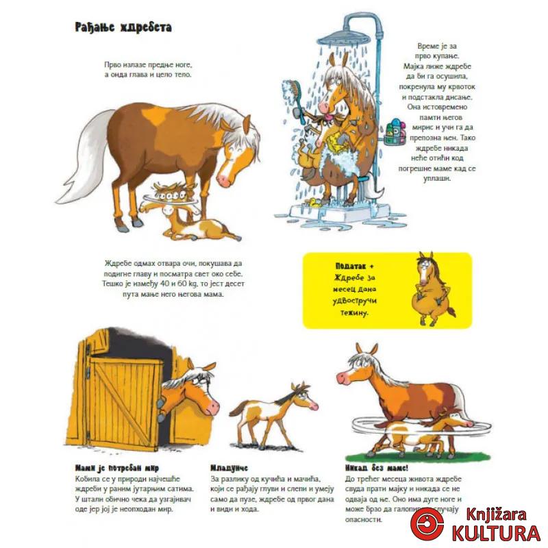 SVE O KONJU I JOŠ PONEŠTO 