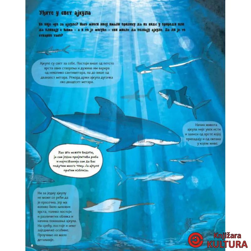 SVE O AJKULI I JOŠ PONEŠTO 