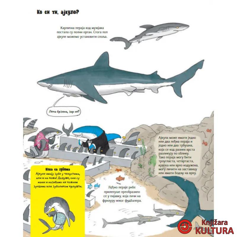 SVE O AJKULI I JOŠ PONEŠTO 