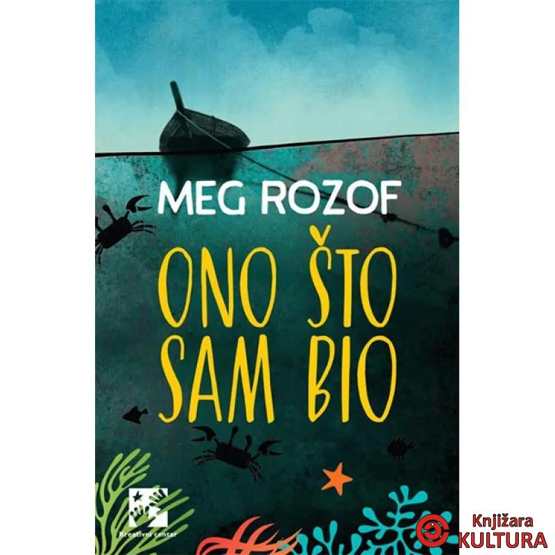 ONO ŠTO SAM BIO 