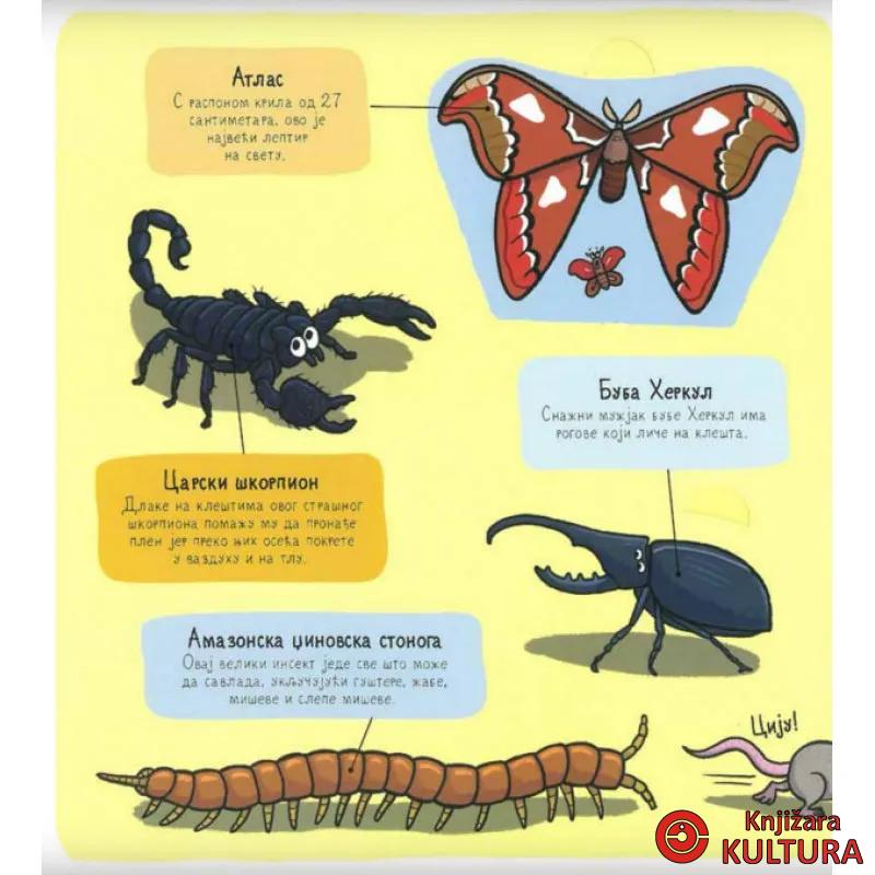 BUBE I ... MALI ISTRAŽIVAČI 