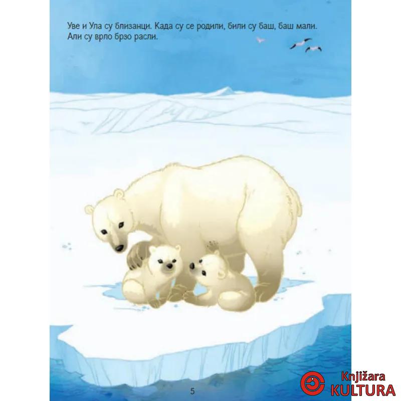 Uzbuna u kući belih medveda 